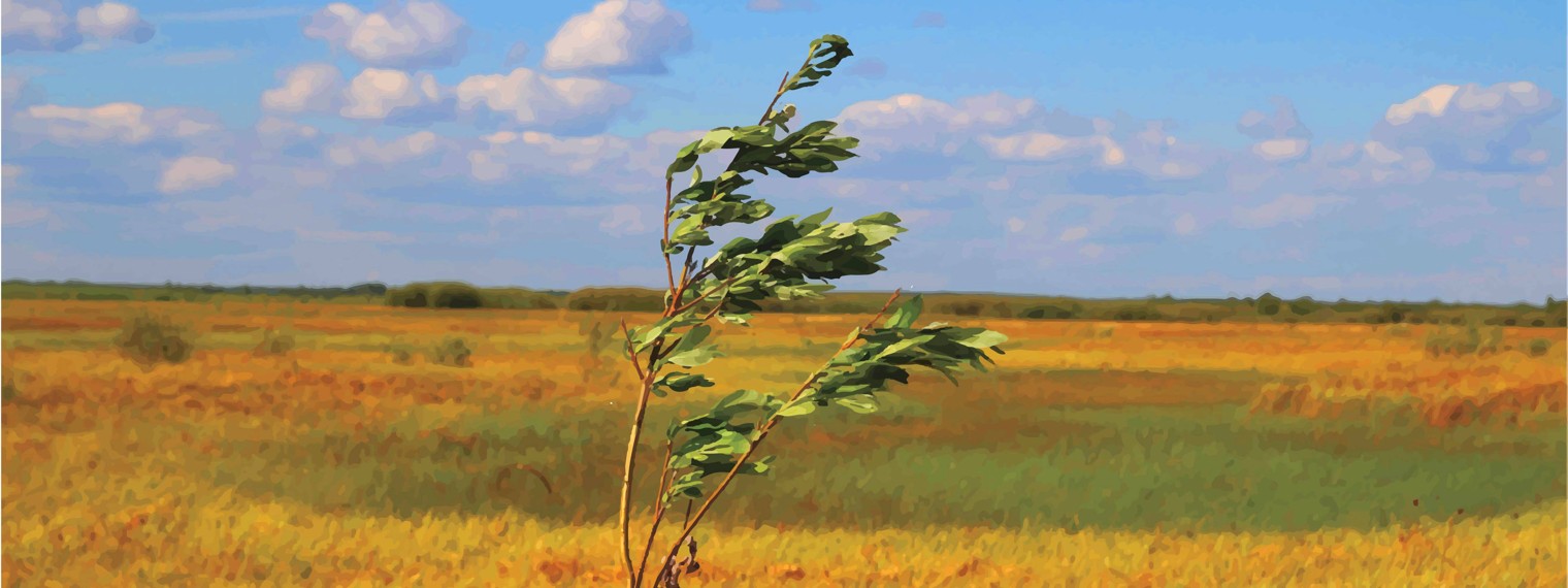 ДУХ ПРИРОДЫ