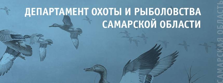 Департамент охоты и рыболовства Самарской области