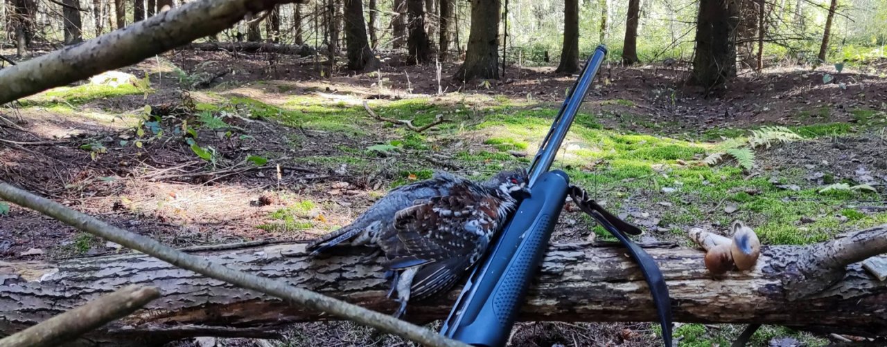 Охота в Ярославской обл.