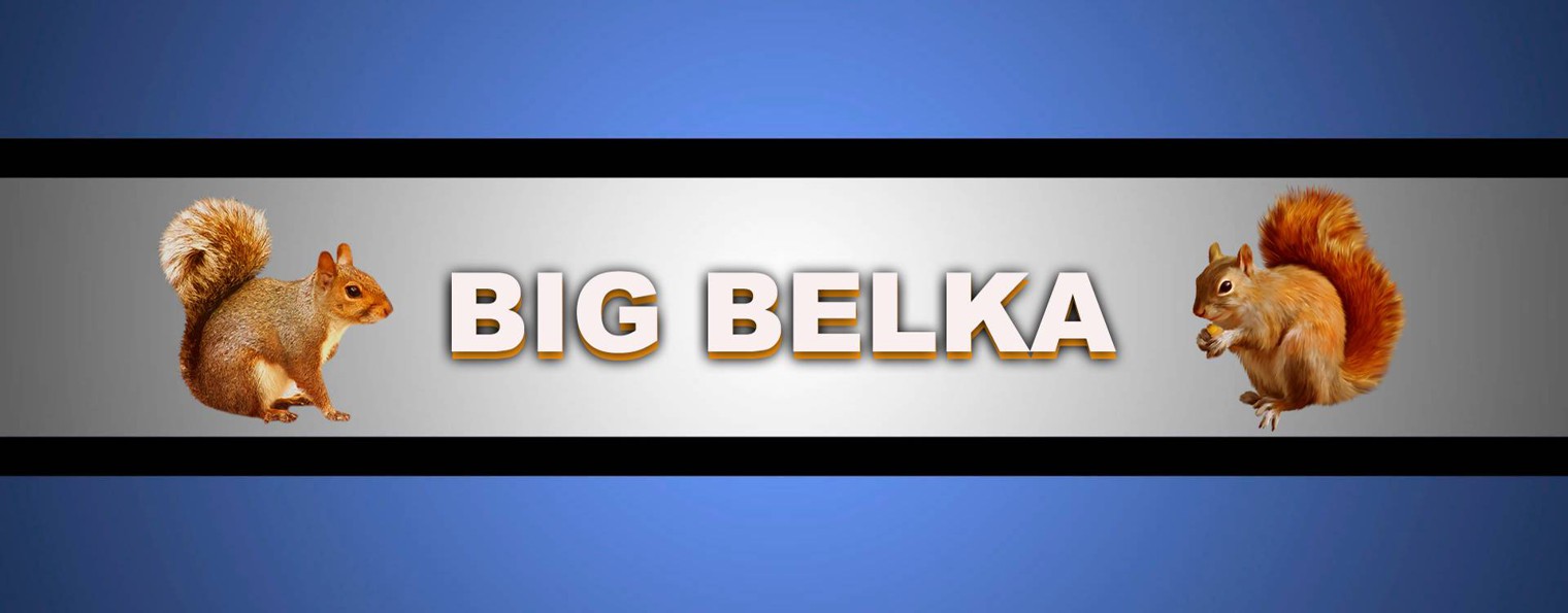 BigBelka