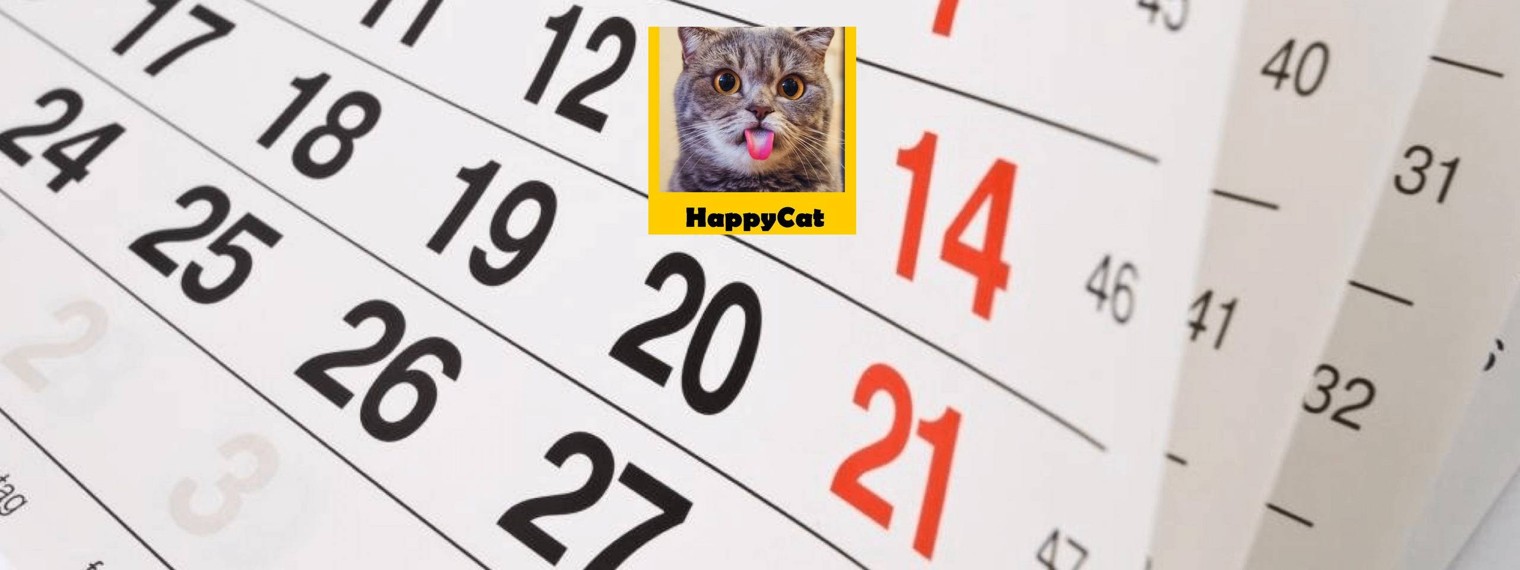 Mr. HappyCat