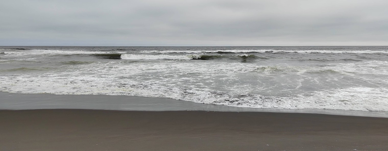 Много спорта не бывает ...