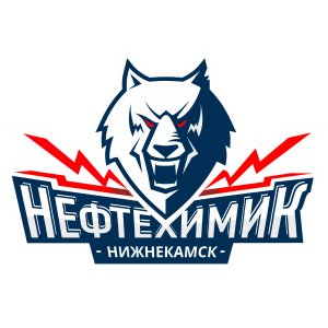 Хоккейный клуб "Нефтехимик"