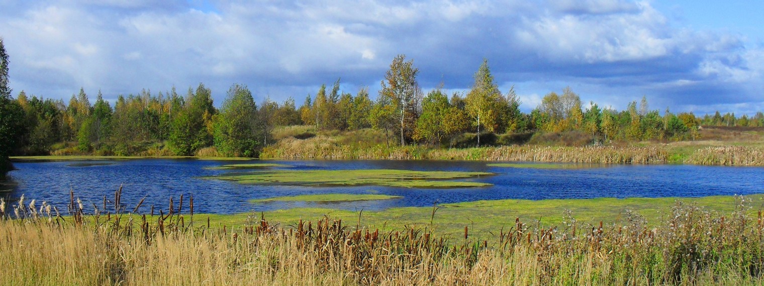 Коля Рыбак