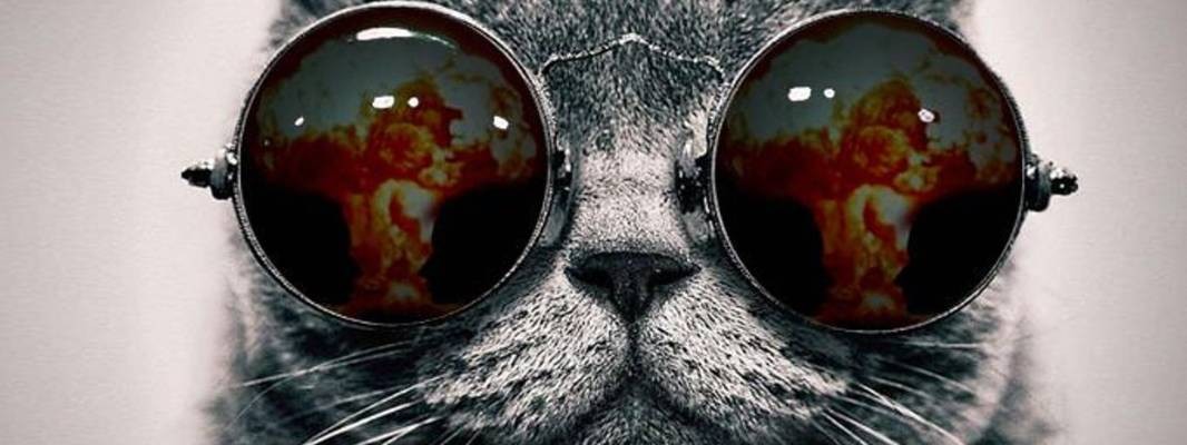 Дар Сознания