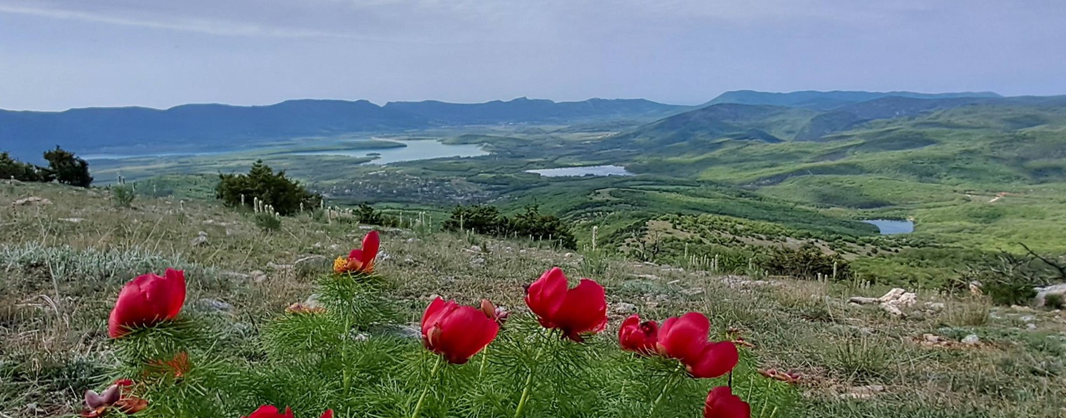 Крымпоход