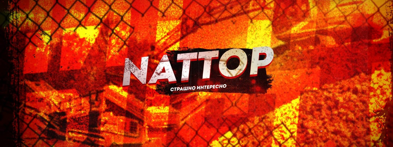 NATTOP