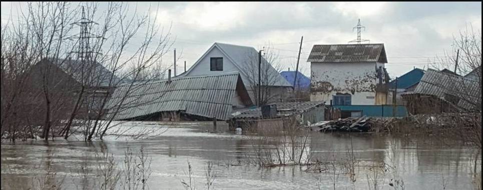 Природные  стихийные  бедствия