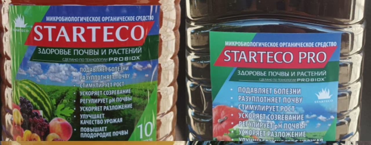 Стартэко