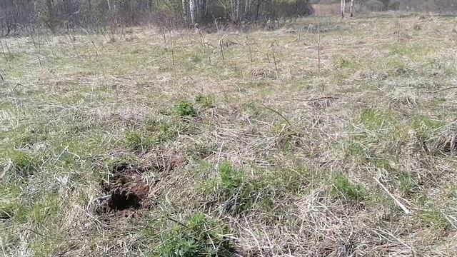 метталлокоп 2022... заехал на бывшие мастерские...