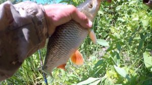 Что творит эта блесна!!! Рыбалка в жару на микроблесну. Блесна RED.