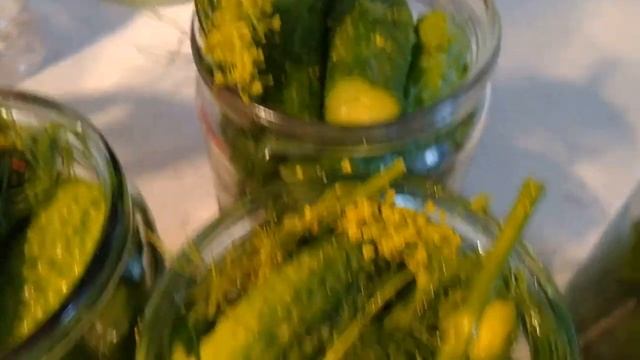 Огурцы для себя на зиму. смотреть онлайн