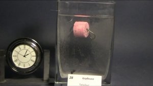 Плавающие бойлы (пелетс) таблетка на сазана