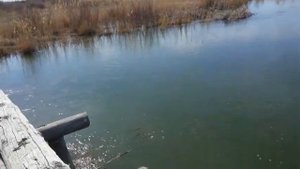 Самодельный лодочный мотор первый заплыв