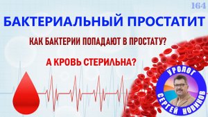 Бактериальный простатит. Как бактерии попадают в простату? А кровь стерильна?