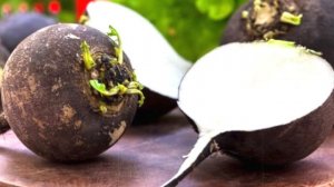 Что ели люди в Древней Руси?