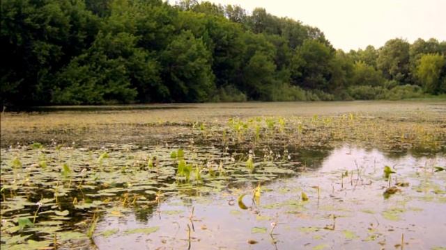Домой смотреть онлайн
