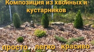 КЛУМБА МАЛОГО УХОДА ИЗ ХВОЙНЫХ И КУСТАРНИКОВ☝ ПОСАДИЛ И ЗАБЫЛ!