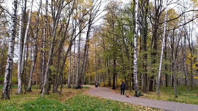 Удельный парк, СПб | октябрь 2020 смотреть онлайн