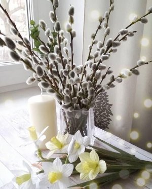 В Вербное Воскресенье пожелаю добра, мира в доме и внутри