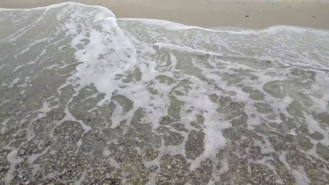 Черное море Лазурное. Куда делись медузы? смотреть онлайн