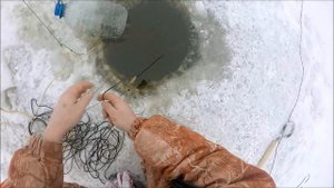 Зимний перемёт на налима  Первая проверка