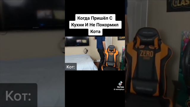 вот что происходит, когда ты не кормишь кота. смотреть онлайн