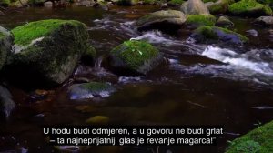 Poglavlje 31 Luqman, Emocionalna Recitacija Kur'ana, Titlovi Na Više Od 90 Jezika