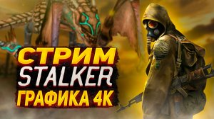 Продолжение ✅ S.T.A.L.K.E.R. Shadow of Chernobyl Update ?c VeinsGames?