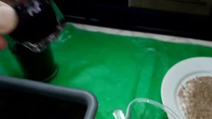 Как посеять санберри? Что такое санберри?