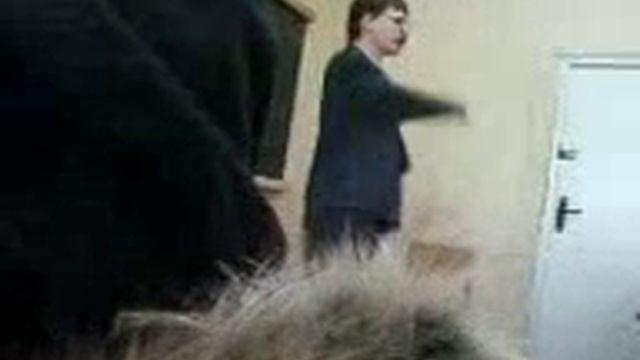 Комнатный: Фамилия негодяя