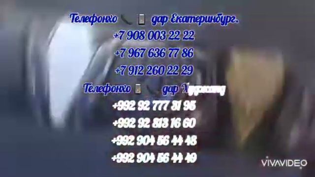 Принимаем сборный груз. Кампания Саломат. смотреть онлайн