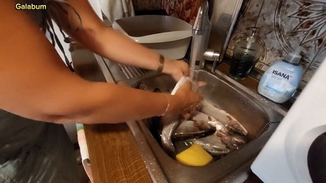 Как засолить и засушить Форель целиком. @galabum