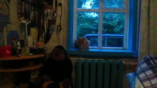 Бесопузы)