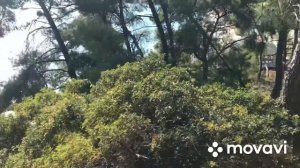 Чистейшие воды Эгейского моря полуостров Кассандра.Греция глазами туриста!