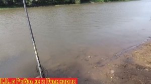 Успешная рыбалка в Самарской области на леща и подлещика.Ловим подлещиков в Самаре.Рыбалка 63 регио