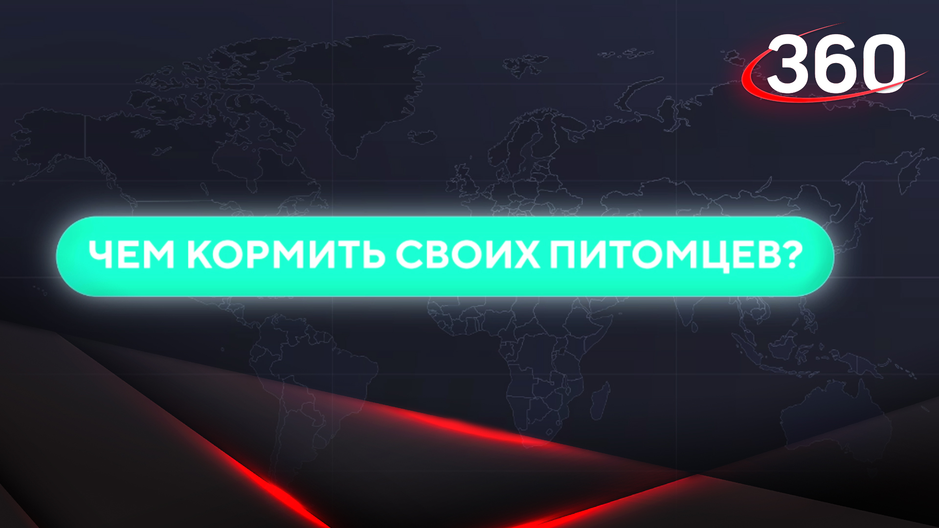 Инструкция. Чем кормить своих питомцев?