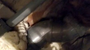 Инсталляция говно?! Berges. Часть 1.