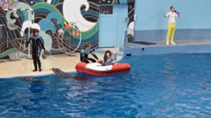 Сочи Дельфинарий Ривьера