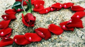 Сердце тебе не хочется покоя