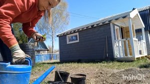 Купили заброшенную дачу(сезон 2№9)Сажаю капусту,петунию/Почему я не любила работу с землей /Прополк