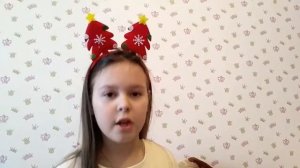 Йоркширский терьер. Что нужно купить?