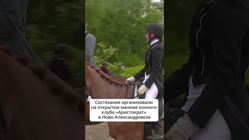 Сахалинские всадницы участвуют в соревнованиях по выездке #сахалин #лошади #выездка