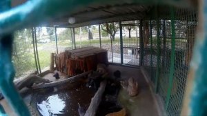 Отдых в Бердянске на косе.