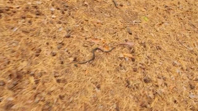 || October 2022 || смотреть онлайн