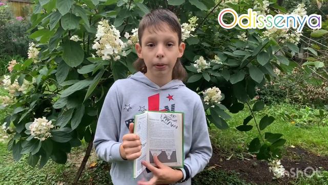 Отзыв на книгу Кена Деннингса 🦕 Динозавры смотреть онлайн