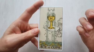 Значение карт таро. Младшие арканы. Туз кубков