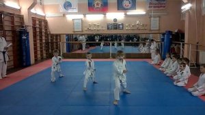 Ката белый пояс