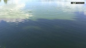 Матчевая ловля карп, рыбалка с поплавком.