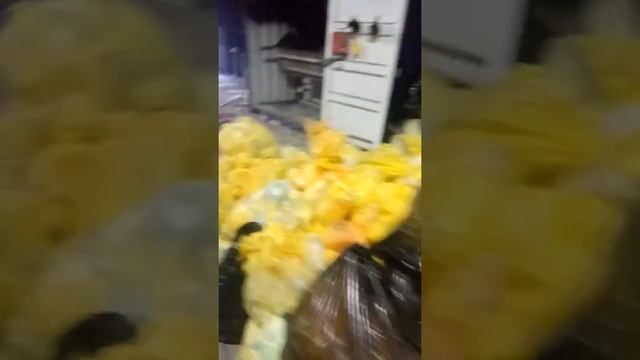 Утилизация мед. отходов и животных смотреть онлайн